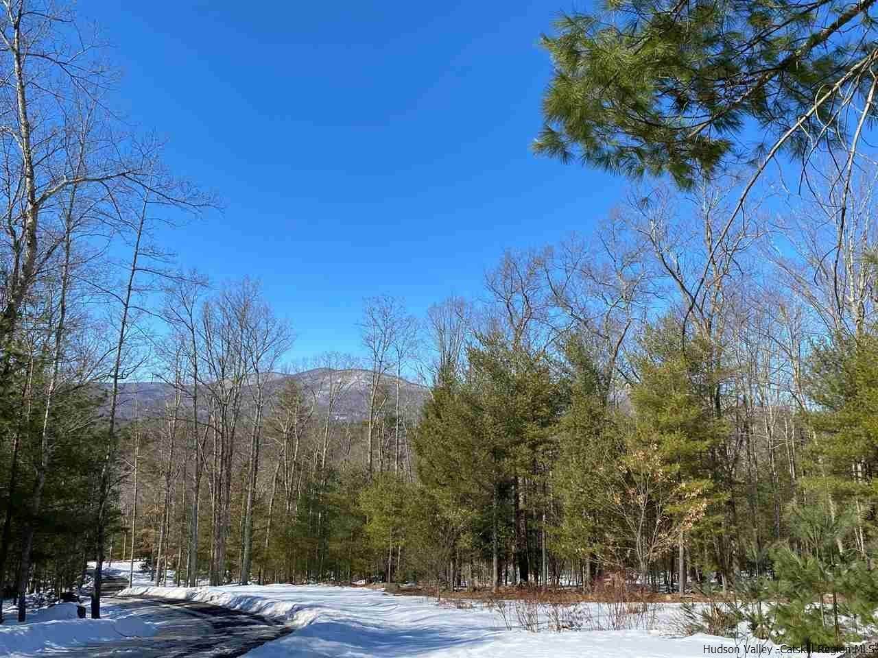 14. Single Family Homes for Sale at 269 Lower Sahler Mill Road Olive, New York 12461 United States