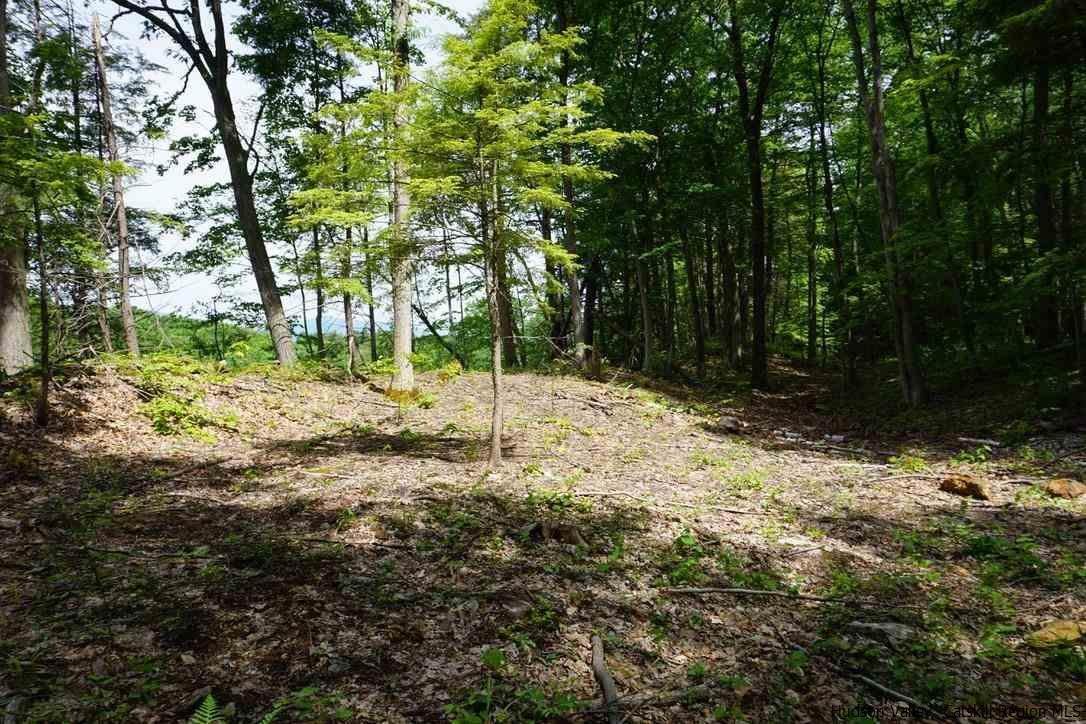 13. Single Family Homes for Sale at 3 Arrowhead Ridge Road Saugerties, New York 12477 United States