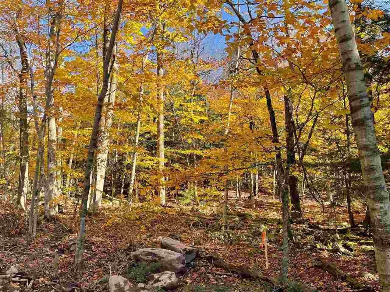 14. Single Family Homes for Sale at TBD Clum Hill Rd Lot 5 Hunter, New York 12442 United States