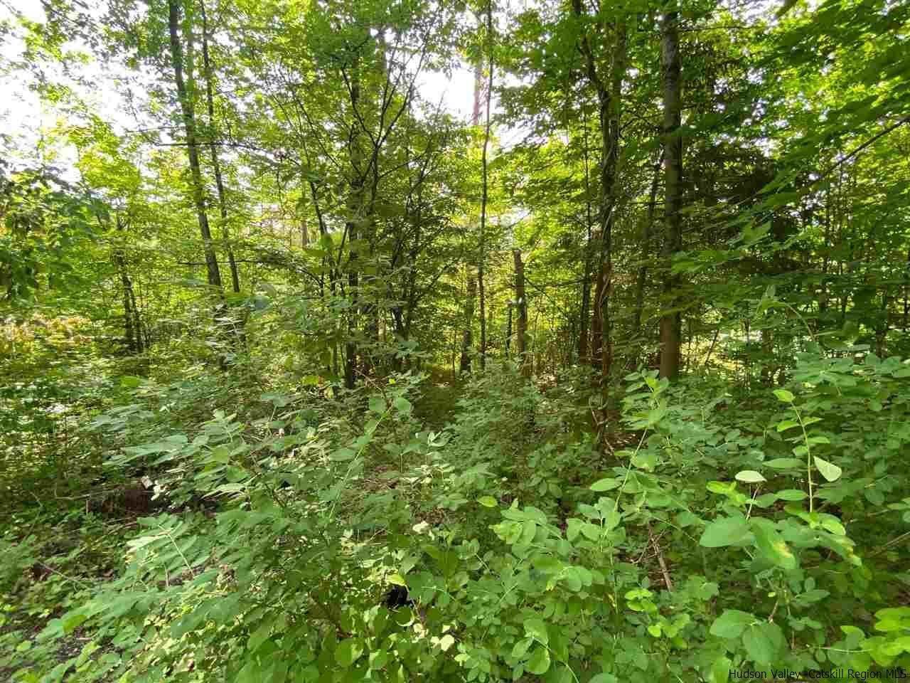 5. Land for Sale at TBD Willa Lane Chichester, New York 12464 United States