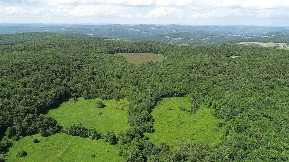 6. Land for Sale at 356 Olmstead Road Masonville, New York 13849 United States
