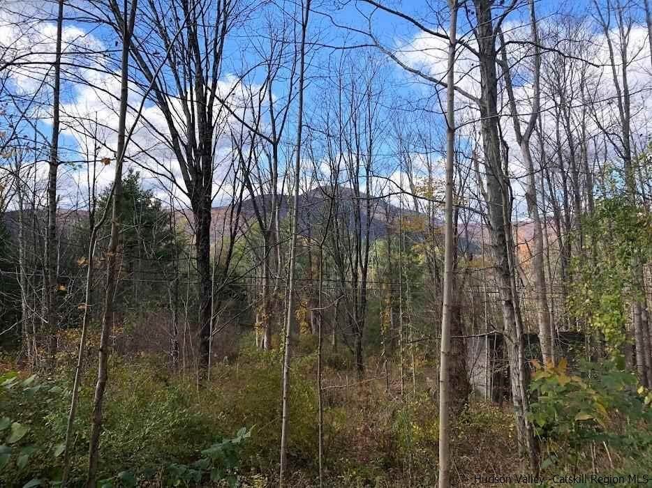 18. Land for Sale at TBD Route 28 Boiceville, New York 12412 United States