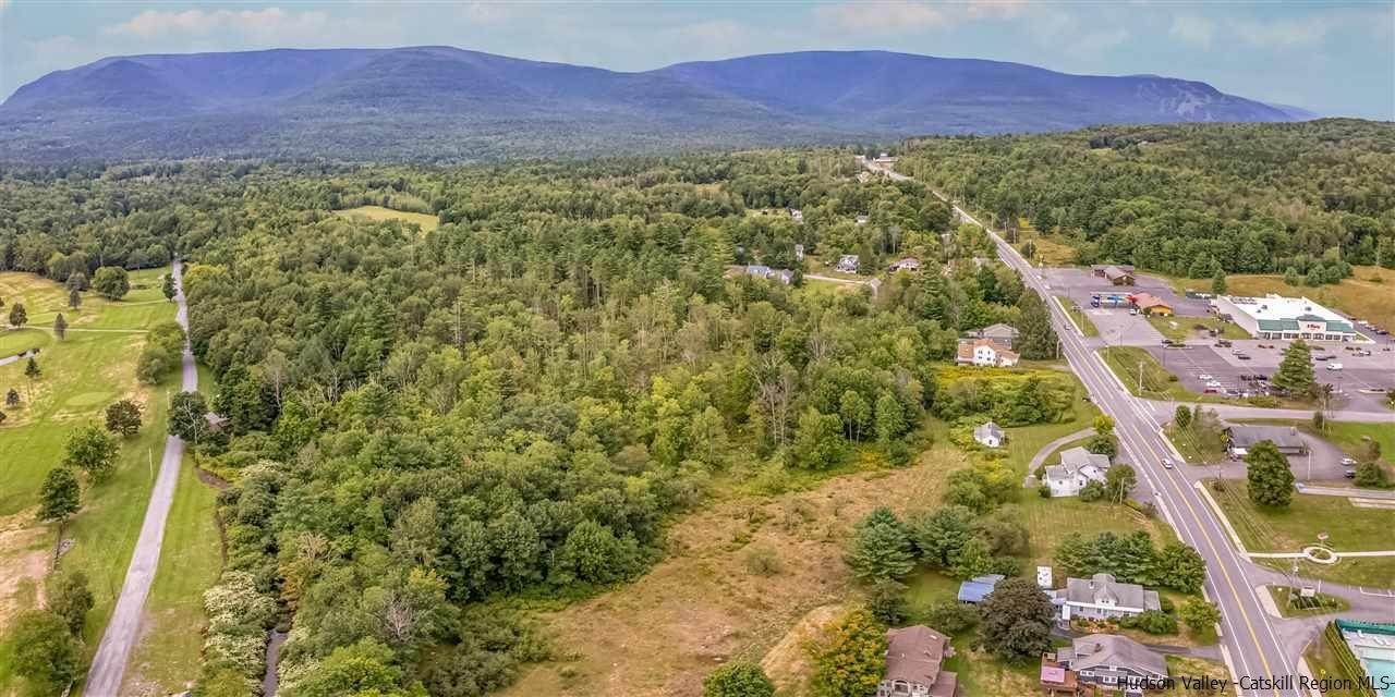 16. Land for Sale at 6319-21 Main Street Tannersville, New York 12485 United States