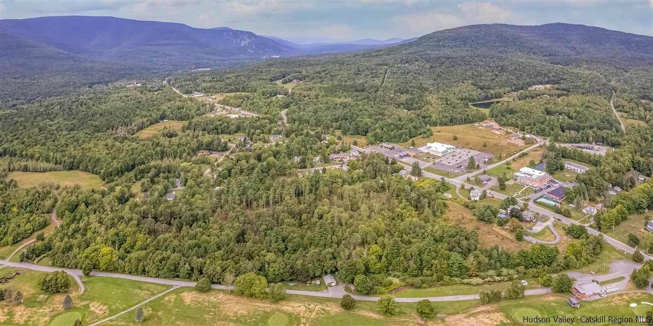 19. Land for Sale at 6319-21 Main Street Tannersville, New York 12485 United States