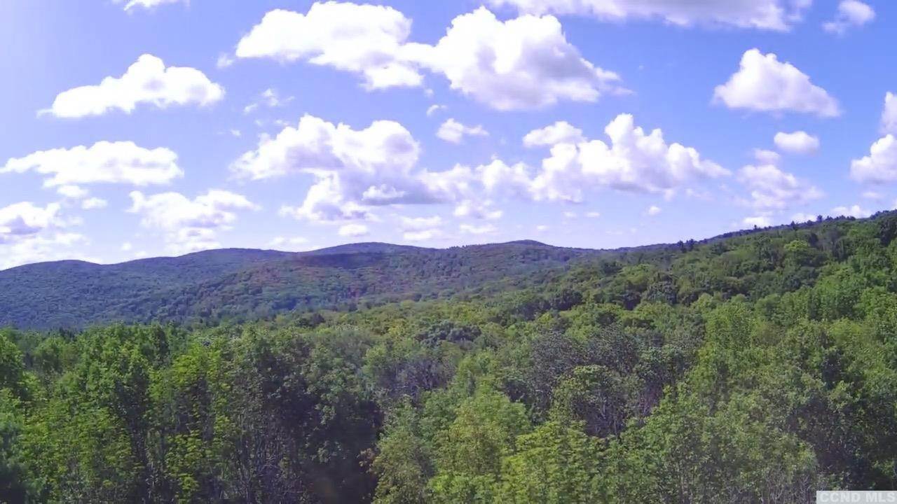 Land for Sale at Fog Hill Road Austerlitz, New York 12065 United States