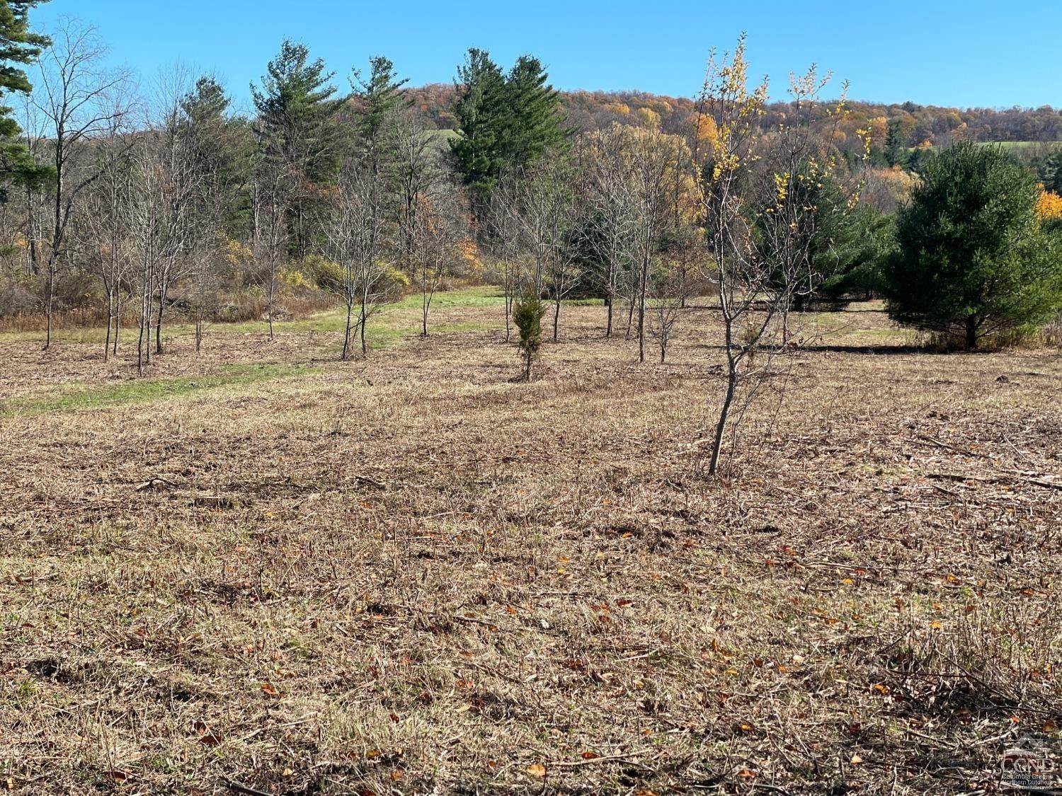 4. Land for Sale at State Line Road Millerton, New York 12546 United States