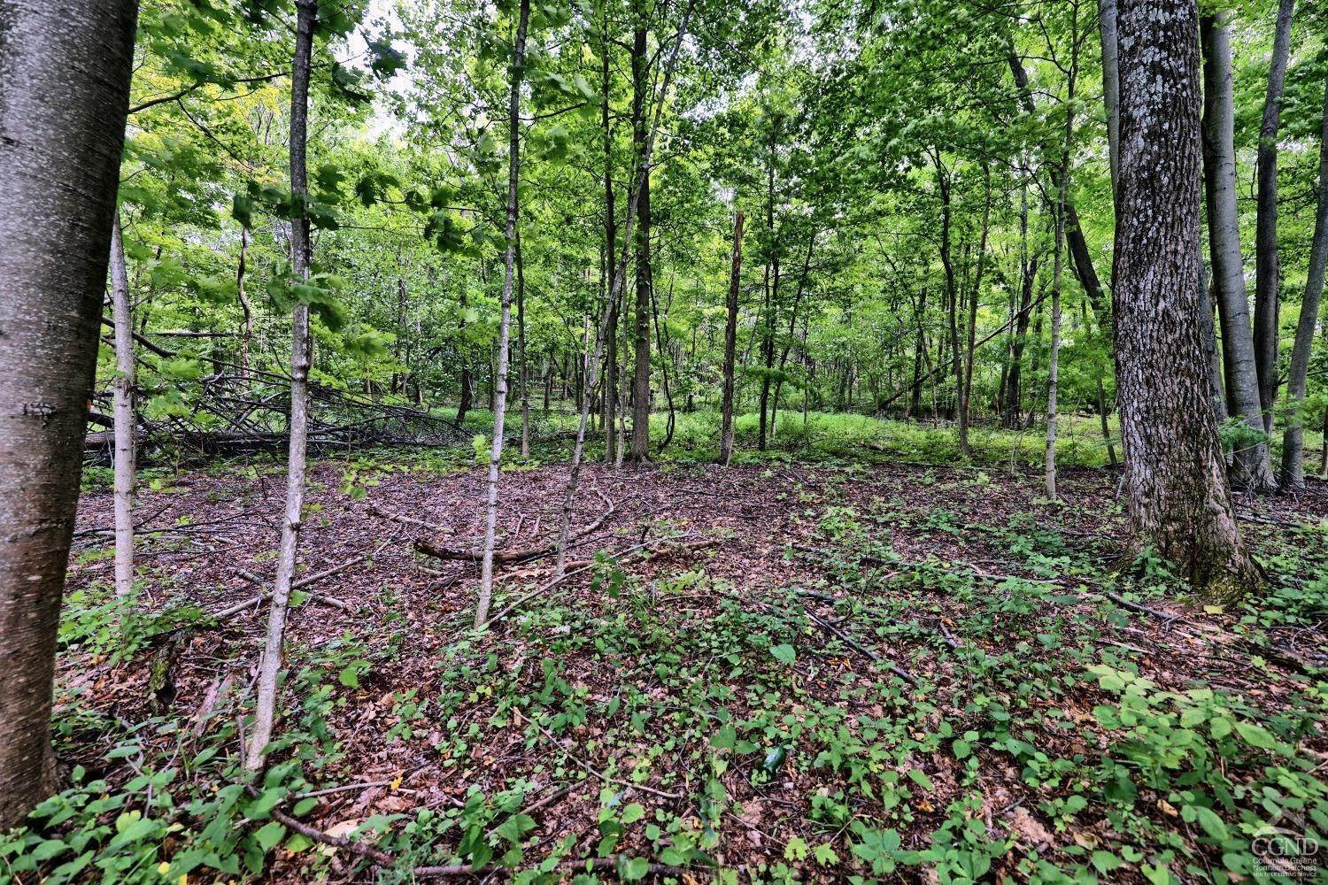 15. Land for Sale at 41 Oak Road Catskill, New York 12414 United States