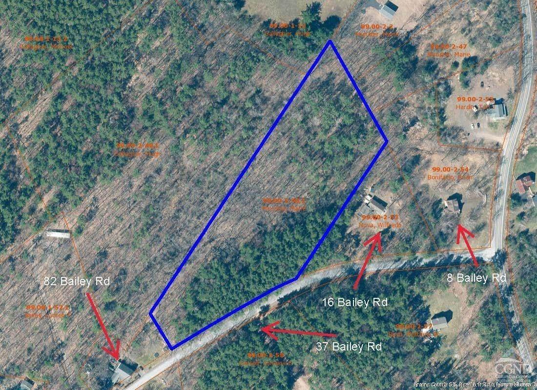 3. Land for Sale at 48 Bailey Road Cairo, New York 12413 United States