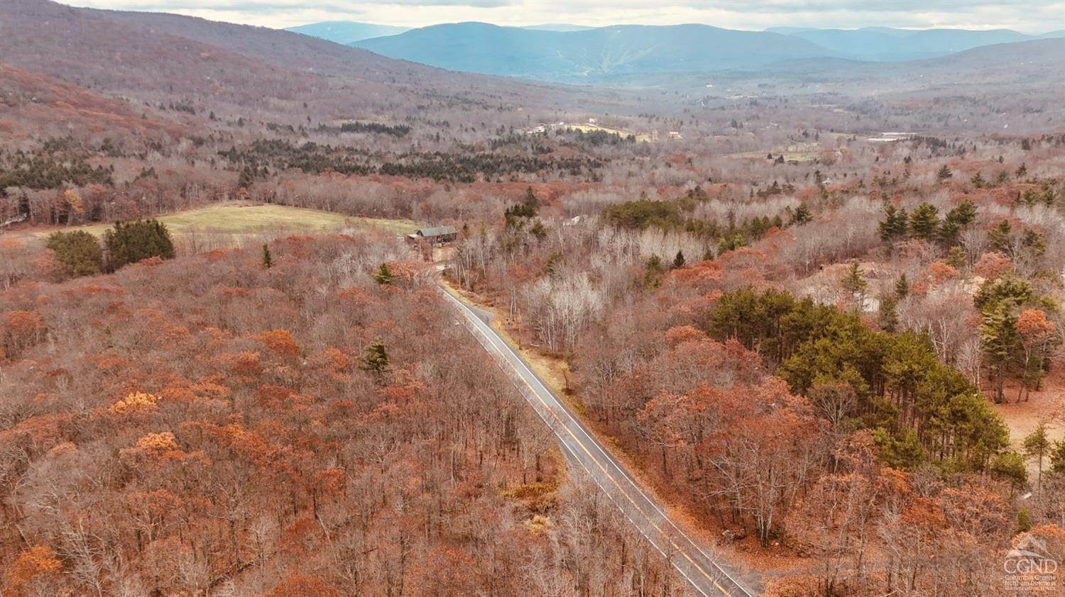 10. Land for Sale at Route 10 Windham, New York 12496 United States