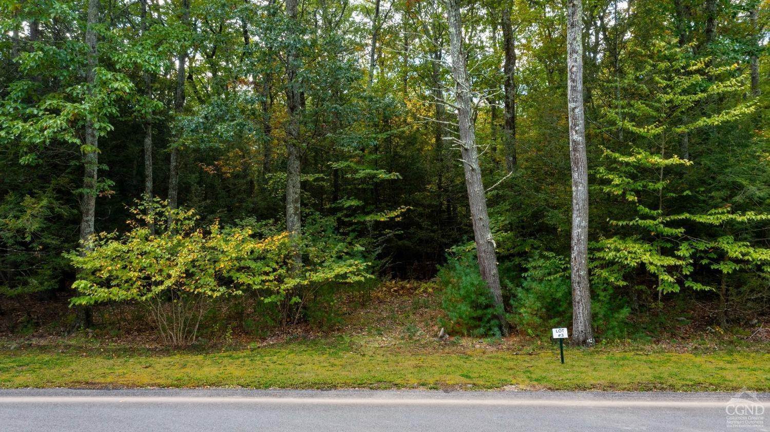 16. Land for Sale at 79 Falling Waters Drive Catskill, New York 12414 United States