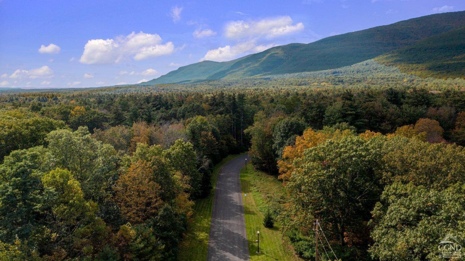 Land for Sale at 79 Falling Waters Drive Catskill, New York 12414 United States