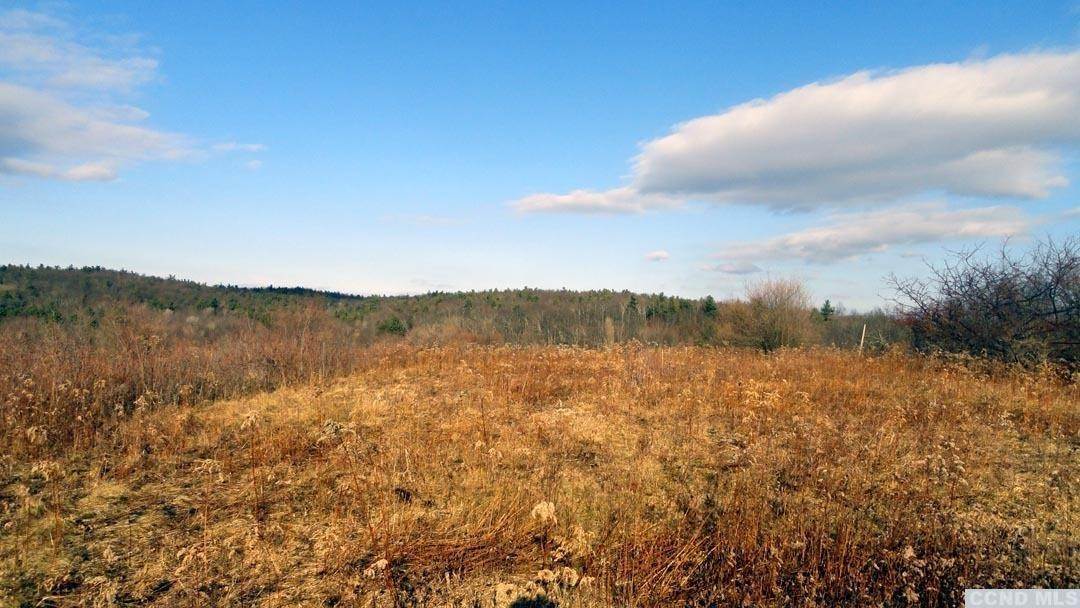 Land for Sale at Manor Rock Road Taghkanic, New York 12521 United States