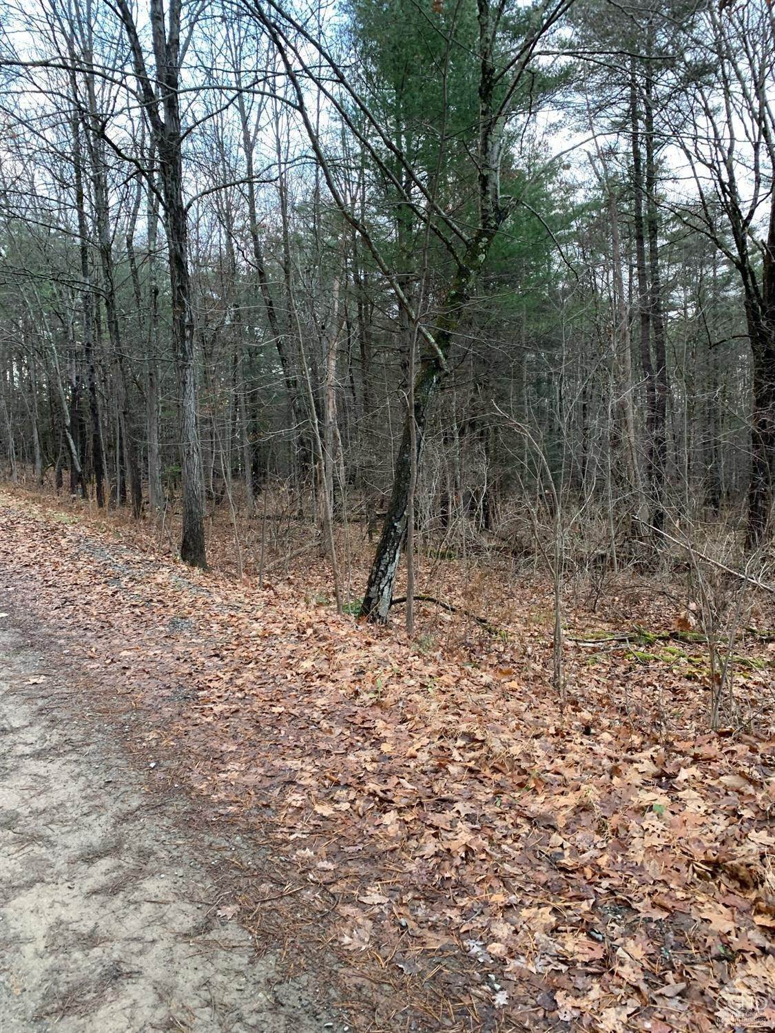 2. Land for Sale at 1 Ashley Hill Road New Lebanon, New York 12125 United States