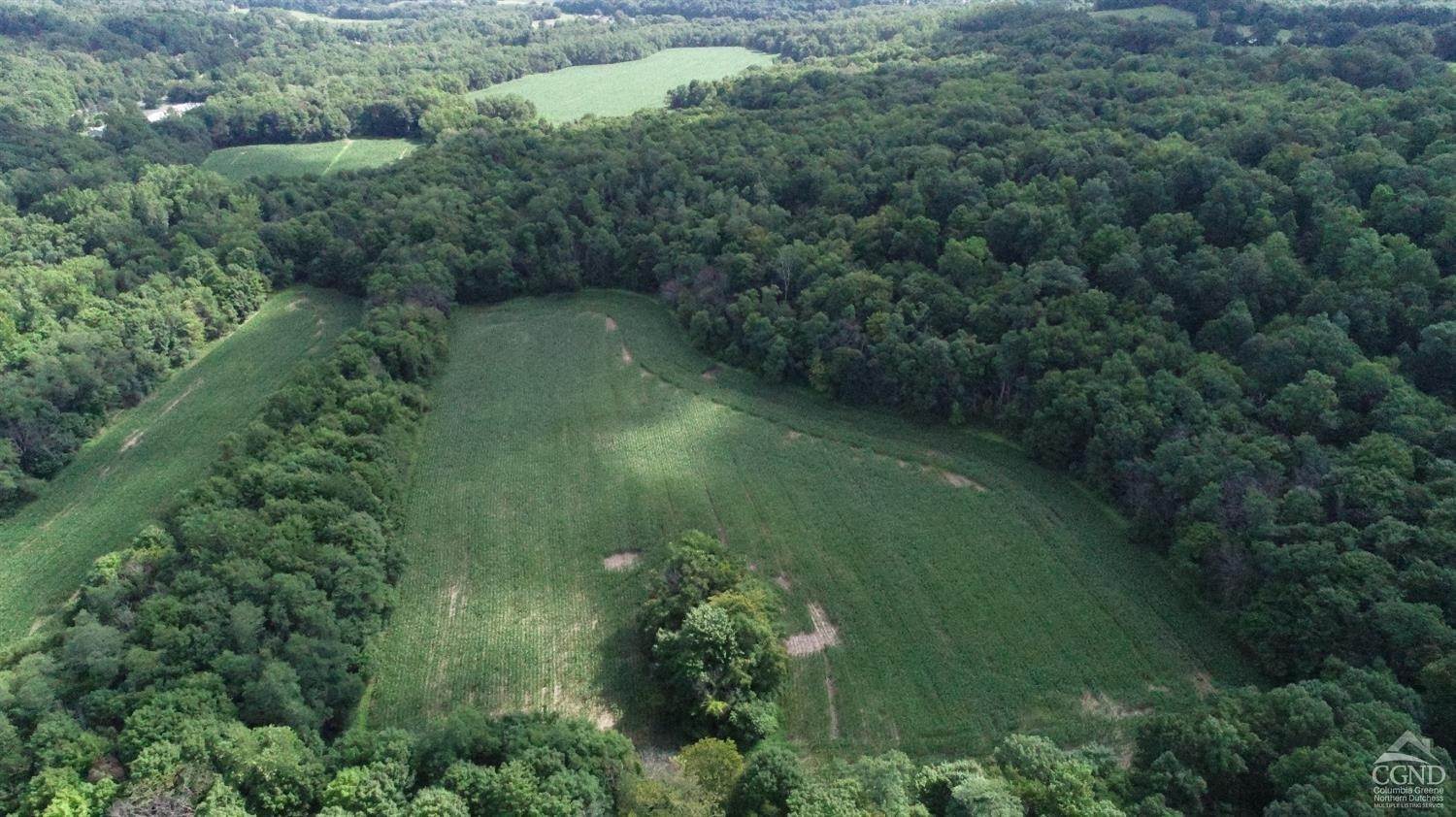 4. Land for Sale at 762 Route 217 Claverack, New York 12544 United States