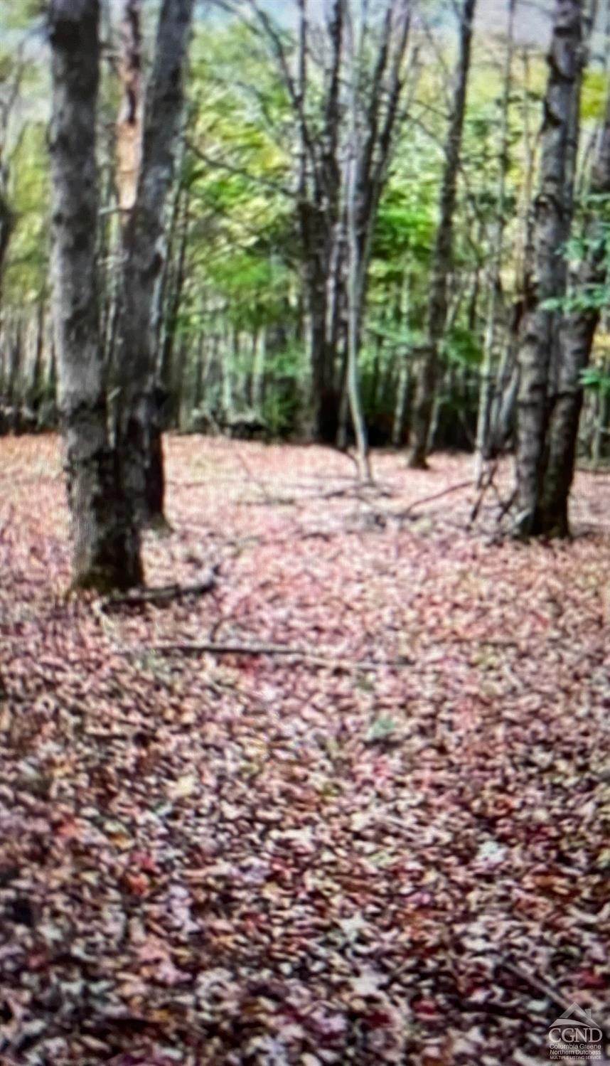 4. Land for Sale at 662 Cr 312 Coeymans, New York 12041 United States