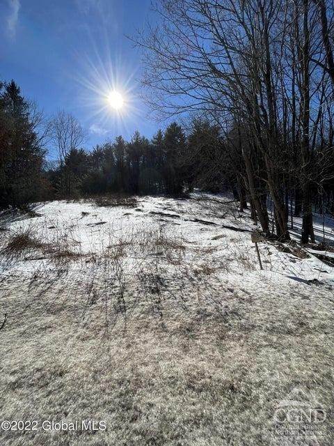 13. Land for Sale at State Route 295 Canaan, New York 12029 United States