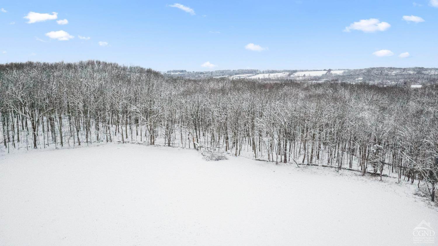3. Land for Sale at 146 Tice Hill- Stop # TBD Road Ghent, New York 12075 United States