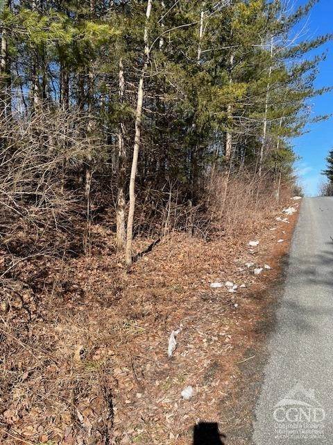 4. Land for Sale at 607 Sleepy Hollow Road Athens, New York 12015 United States